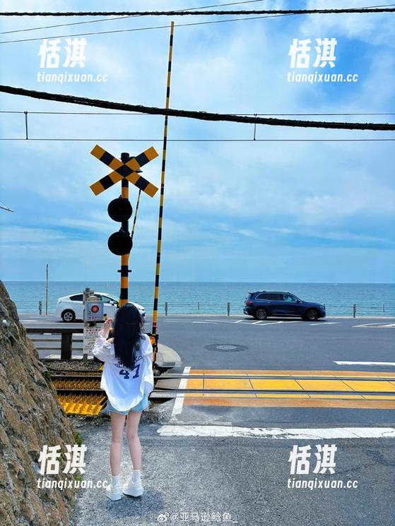 下班后OL的关于亚马逊鲶鱼的COS作品，展现另一番风味